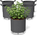 Self-Watering Grow Bags, for Low Stress Plant Training Fruits, Vegetables by Patigrow