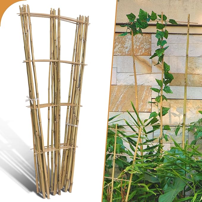 10 Pack 4ft Bamboo Trellis for Climbing Plants by Biotolot