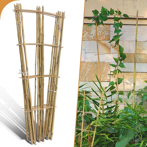 10 Pack 4ft Bamboo Trellis for Climbing Plants by Biotolot