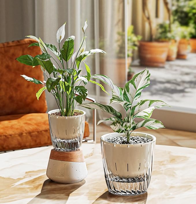 Self Watering Planters - Image 5