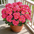 Artificial Geraniums Flowers for Outdoors, 6 Bundles Realistic Silk Fake by AmberFun