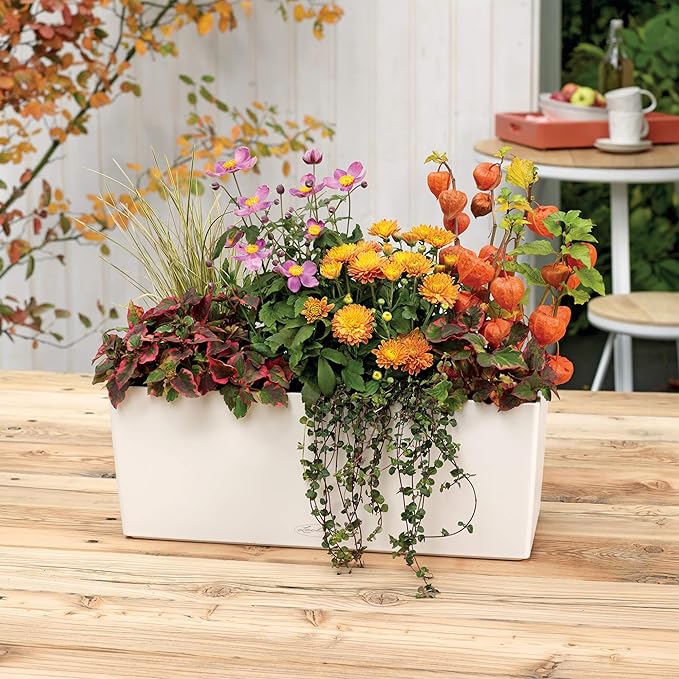 Lechuza BALCONERA Color 50 White, Self-Watering Window Box, H7.5 L19.7 W7.5 in - Image 7