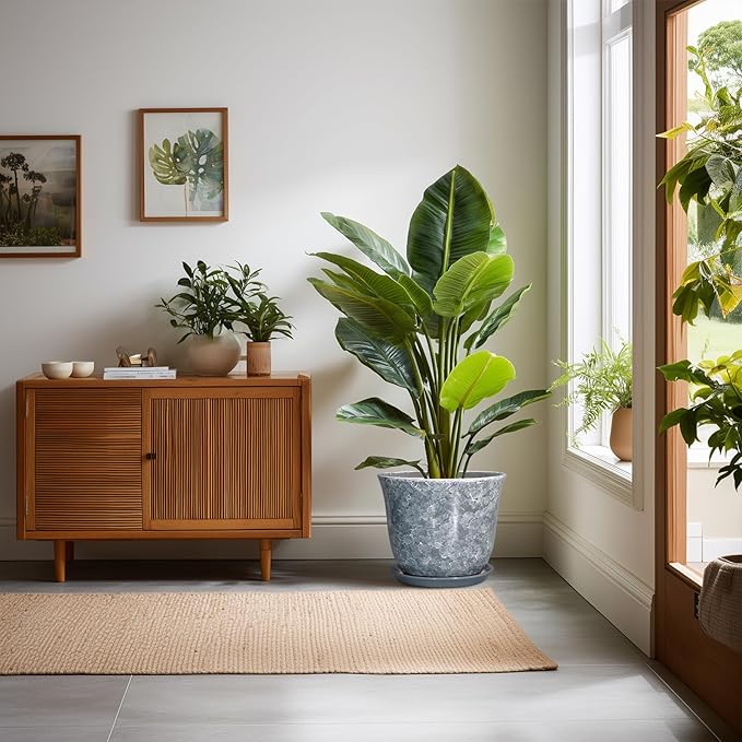 Ceramic Pots for Plants - Image 3