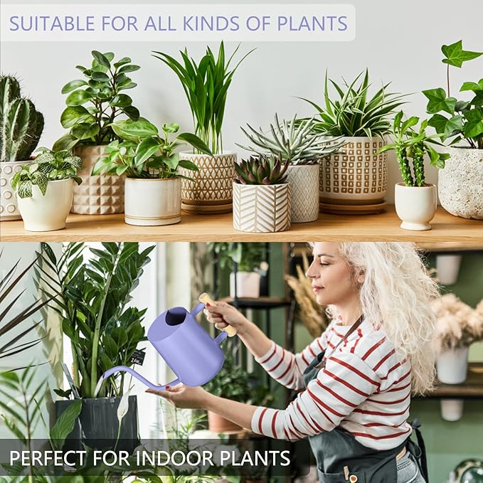 Watering Can Indoor Plants, 35oz Small Stainless Steel Metal Watering Can - Image 4