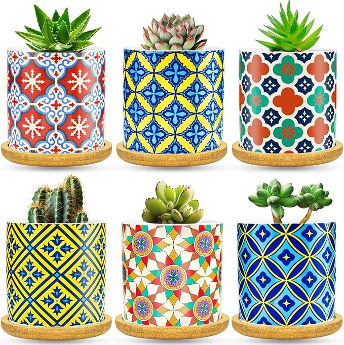 6 Pack Succulent Pots with Drainage Hole, 3 inch Ceramic Succulent Planter with by Ascrafter