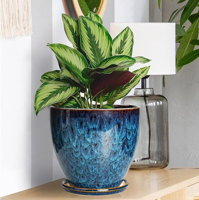 Ceramic Plant Pot, 6.3 Inch Ceramic Planter Pot - Image 6