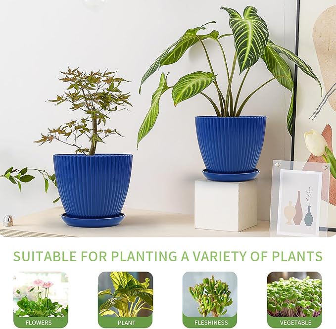 Plant Pots Indoor with Saucers & Drainage - Image 3