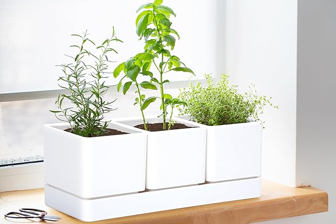 D'vine Dev Herb Garden Planter Set, Plastic Plant Pots - Image 4