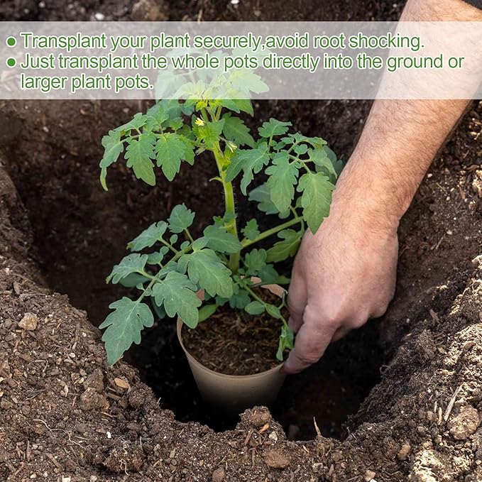 100PCS Peat Pots, 3.15Inch Seed Starting Pots - Image 5