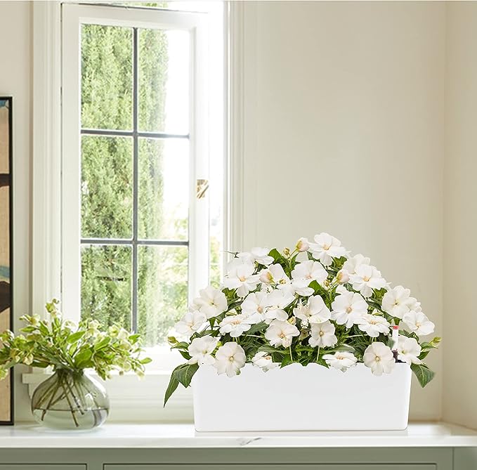 GardenBasix Elongated Self Watering Planter Pots Window Box 5.5 x 16 inch - Image 9