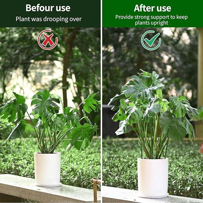 4 Pack Plant Support Stakes, Plant Stakes - Image 6