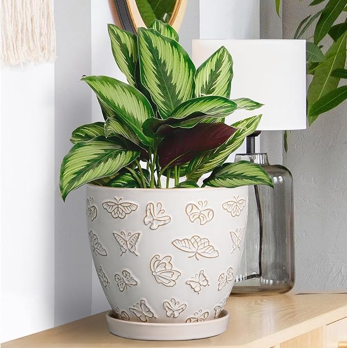 Ceramic Planter Pot - Image 7