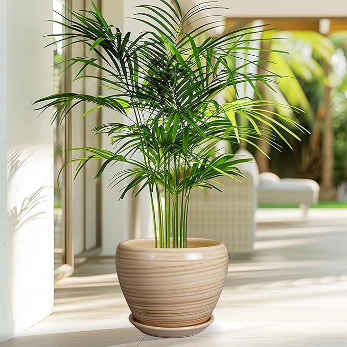 Planter 8 Inch - Indoor/Outdoor Ceramic Plant Pot - Image 5