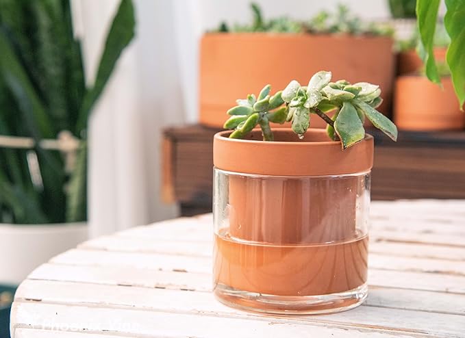 Phoenix Vine 4 Inch Self Watering Planter Pot, Terracotta Clay Pot - Image 5