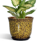 Ceramic Plant Pots by SUNPOTFOR