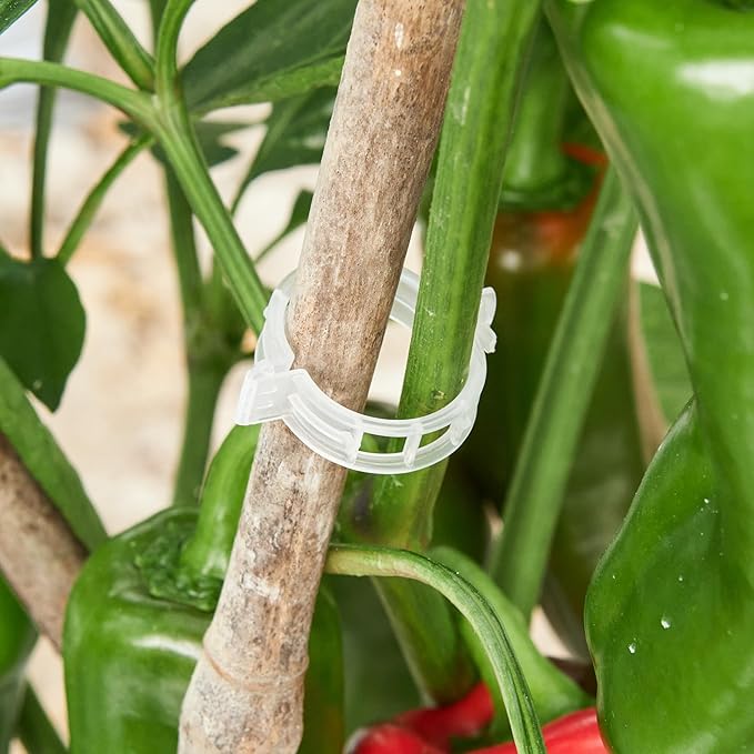 300 Pcs Plant Support Clips, Plastic Clips - Image 9