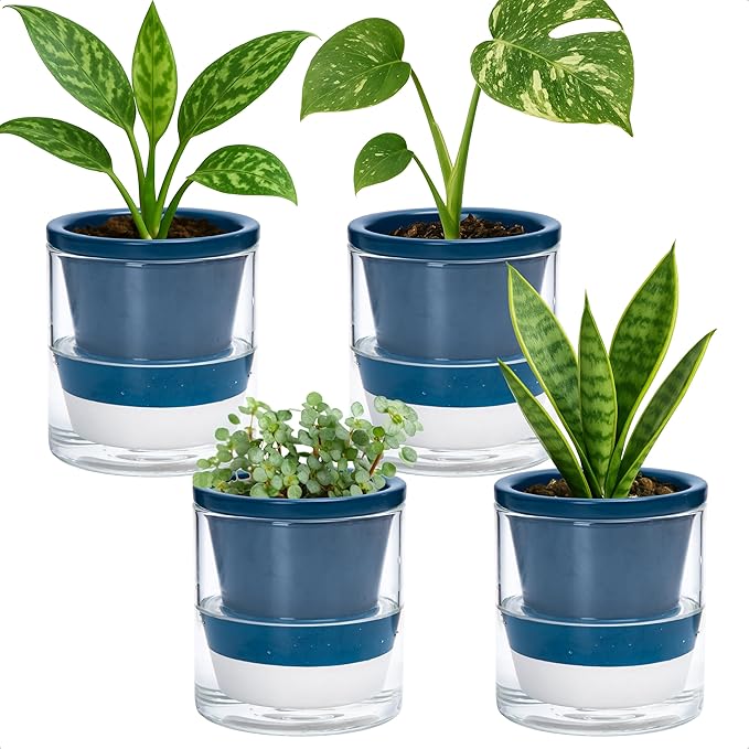 D'vine Dev 4 Inch Design Self Watering Planter by DvineDevPlanterPotsandStand