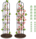 Garden Obelisk Trellis for Climbing Plants by Nexum