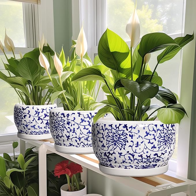 SQOWL Ceramic Pots for Plants - Image 6
