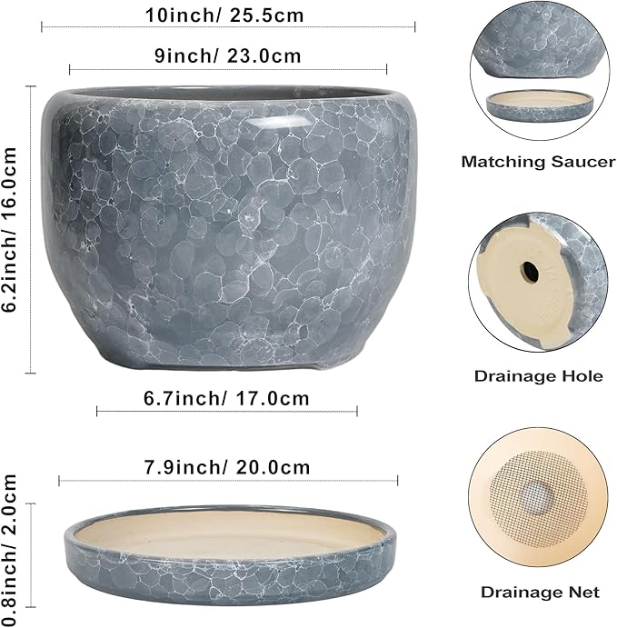 SQOWL Ceramic Pot for Plants - Image 3