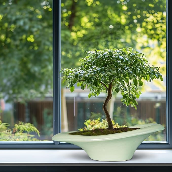 Ceramic Bonsai Pots - Image 8