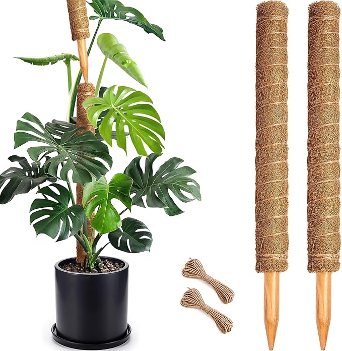 Soupiar 2 Pack 22 Inch Stackable Moss Pole by Soupiar