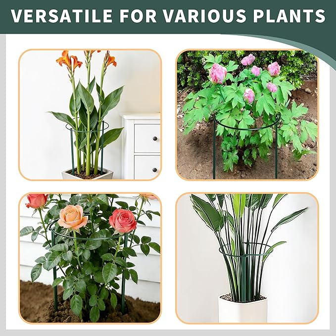 Garden Plant Support Cagess, High Heavy Duty Interlinked Half Round Peony - Image 4