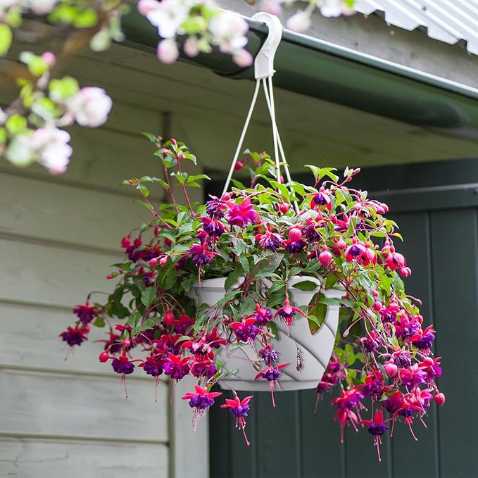 Tioncy 50 Pcs Plastic Hanging Planter Round Hanging Pot - Image 5