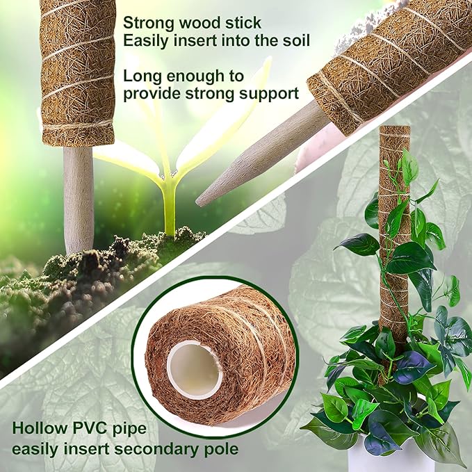 Moss Pole 36 Inch - Image 4