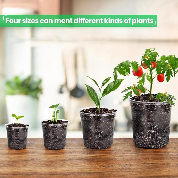 36 Packs 7/5/4/3.5 Inch Reinforced Clear Nursery Pots - Image 6