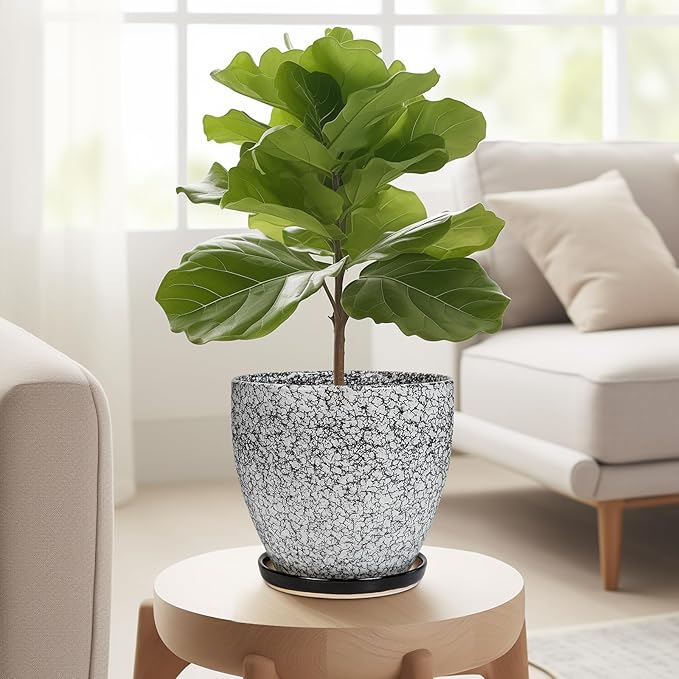 Ceramic Planter - Image 5