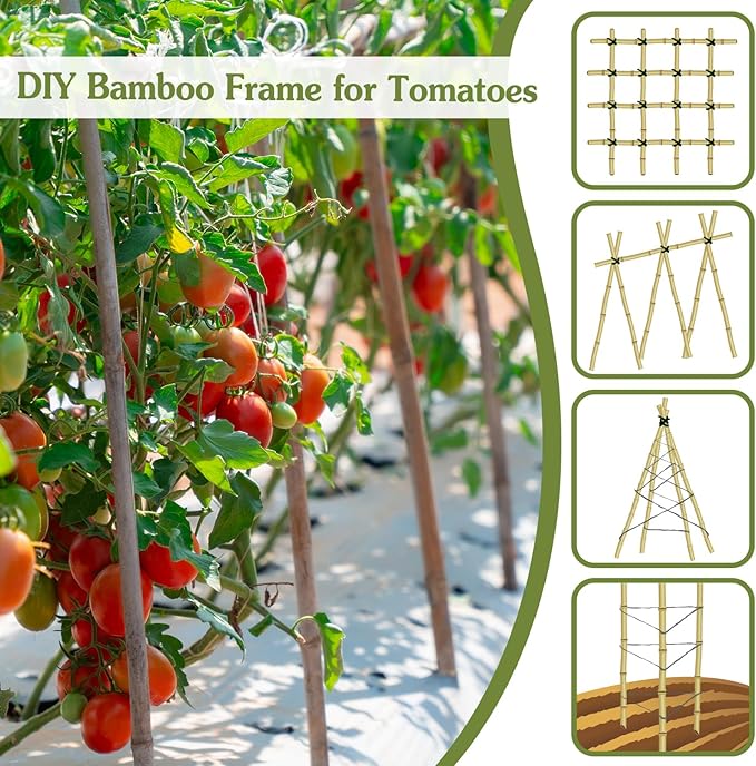 Plant Stakes 3FT, Natural Bamboo Stakes, HAINANSTRY 25Pcs Sturdy Bamboo Garden - Image 4