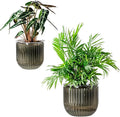 Melphoe Self Watering Pots for Indoor Plants Planter, 6.5/5.3 Inch 2 Pack by Melphoe