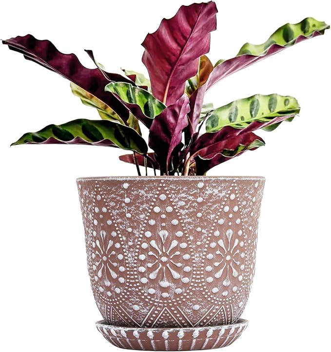Gepege 10 Inch Plant Pot, Ceramic Planter by Gepege