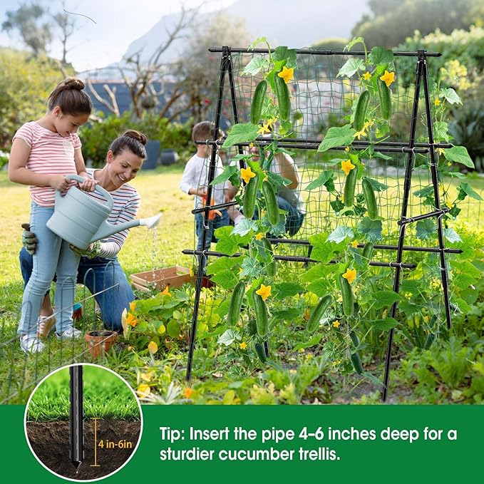 Cucumber Trellis, Metal Garden Trellis - Image 7