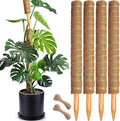 Soupiar 4 Pack 22 Inch Stackable Moss Pole by Soupiar