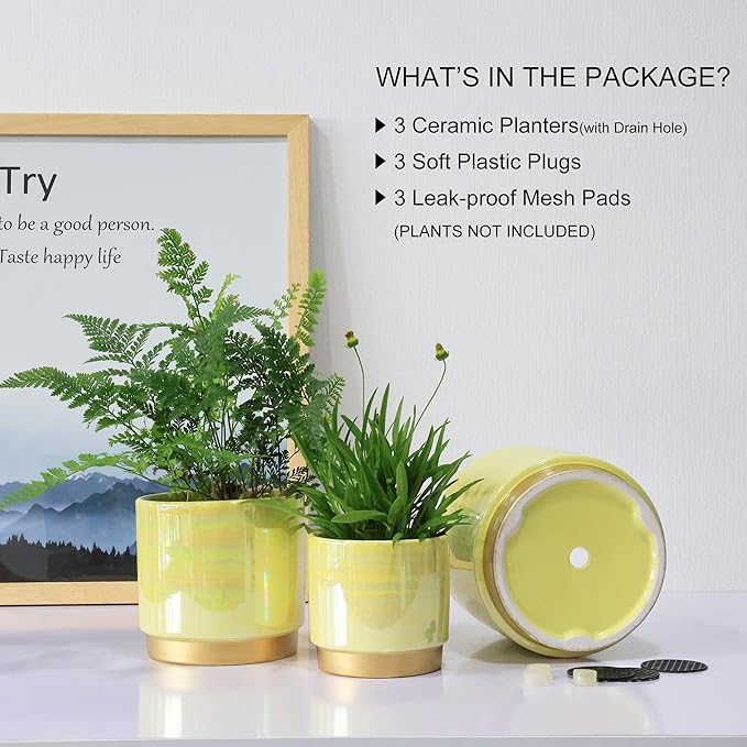 Gepege Indoor Pots for Plants, Ceramic Planter - Image 5
