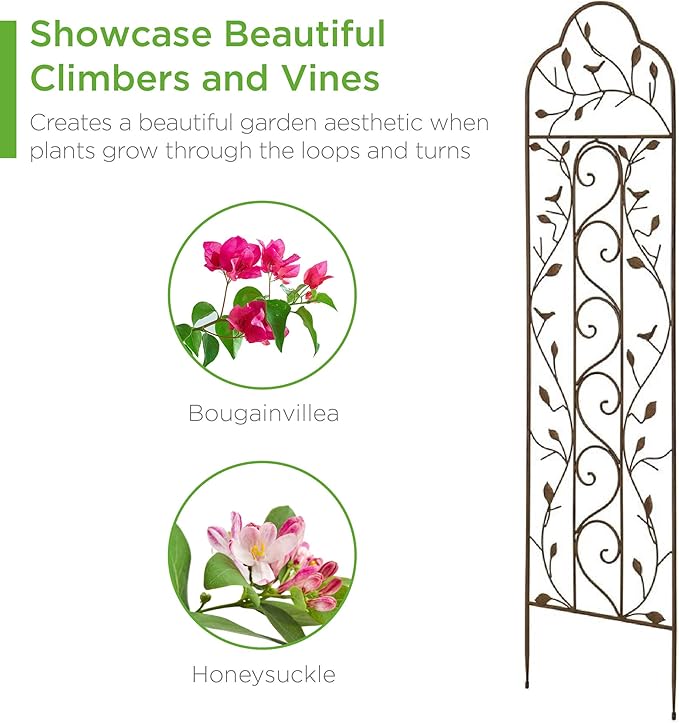 Best Choice Products Set of 2 60x15-inch Iron Arched Garden Trellis w/Branches - Image 4