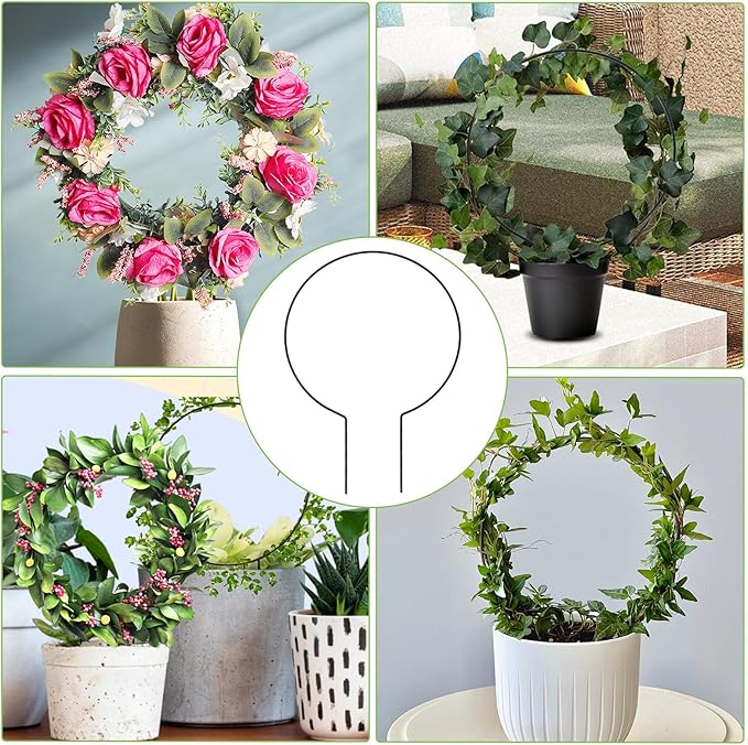 2 Pack Round Plant Trellis for Indoor Potted Plants, Acrylic Small Trellis for - Image 6