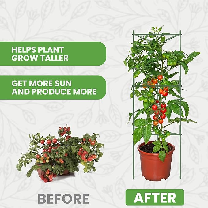 Tomato Cage - Large Trellis Stakes and Plant Support Structures - Image 9