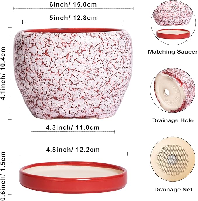 SQOWL 6 Inch Plant Pot - Image 3