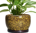 SQOWL Ceramic Flower Pots by SQOWL