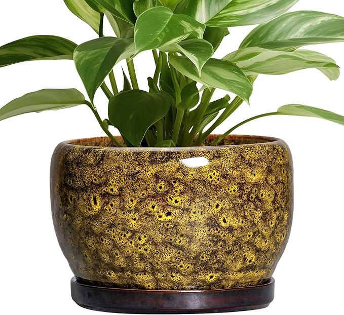 SQOWL Ceramic Flower Pots by SQOWL