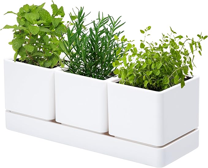 D'vine Dev Herb Garden Planter Set, Plastic Plant Pots by DvineDevPlanterPotsandStand