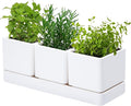 D'vine Dev Herb Garden Planter Set, Plastic Plant Pots by DvineDevPlanterPotsandStand