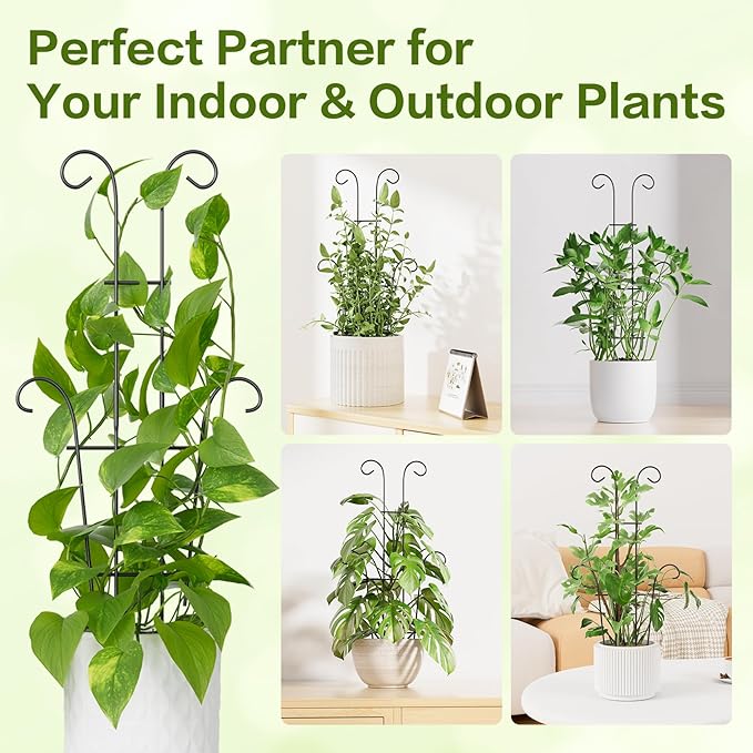 Larger 23.6in Taller Plant Trellis - Image 9