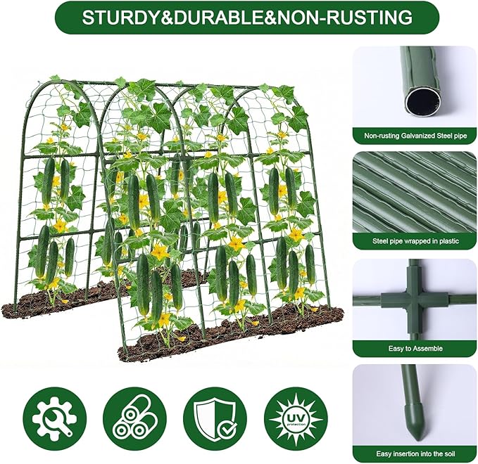 U-Shape Cucumber Trellis for Raised Bed - Image 6