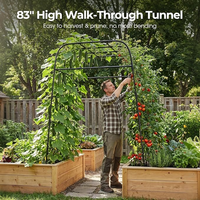 Garden Arch Trellis for Climbing Plants, Metal Cucumber & Tomato Cage, - Image 2