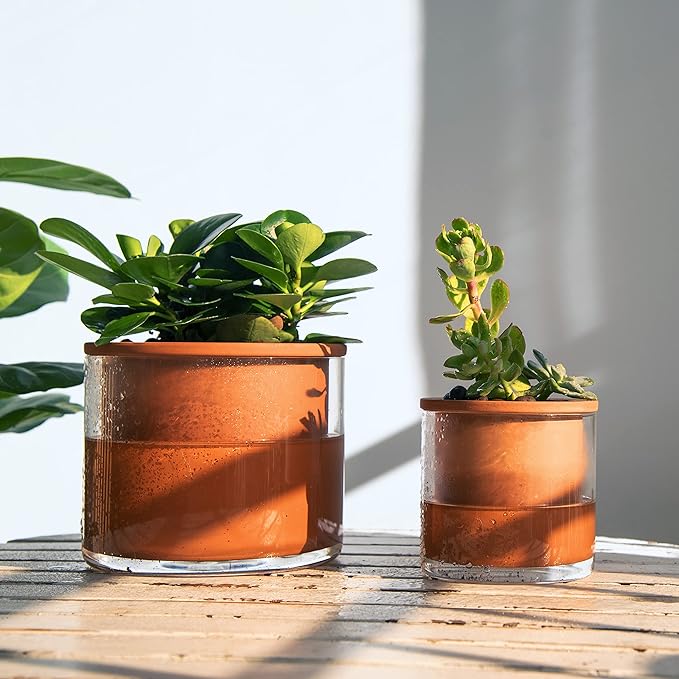 Phoenix Vine 4 Inch 6 Inch Self Watering Plants Pots, Design Terracotta Pots - Image 2