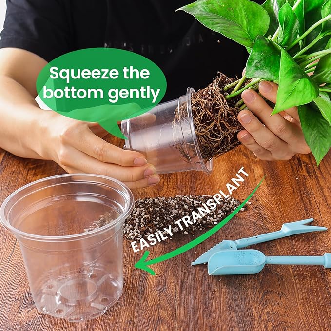 30 Packs 7/5/4 Inch Reinforced Clear Nursery Pots - Image 5